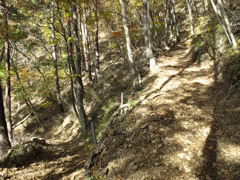 20161117hike (64)